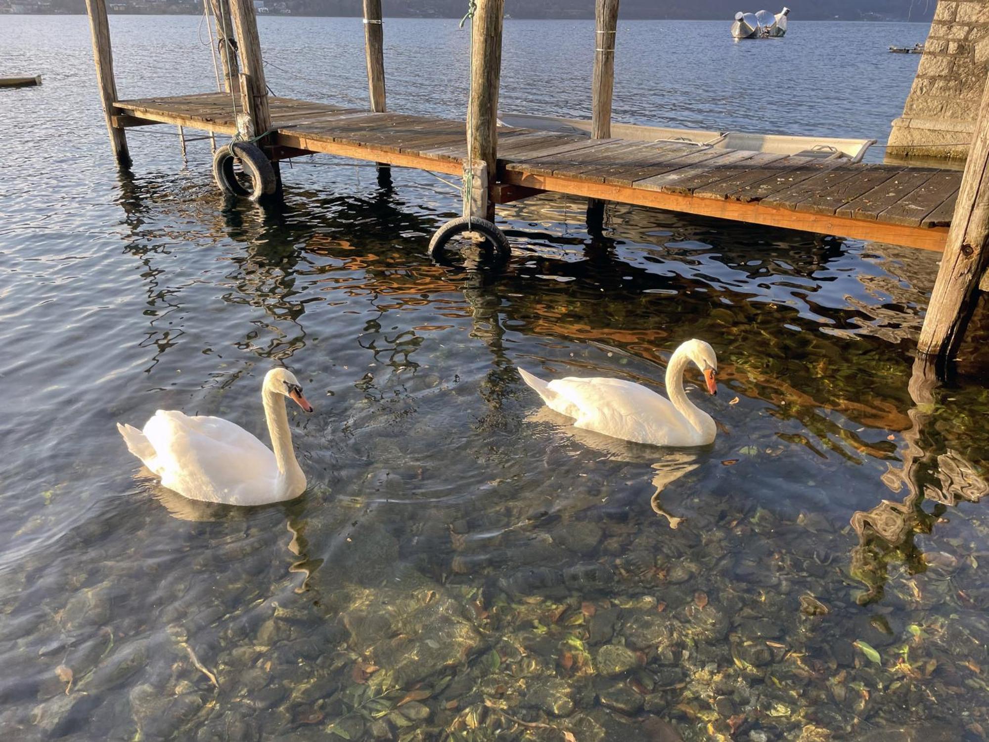 Appartamento Vacanze Al Lago 奥尔塔圣朱利奥 外观 照片